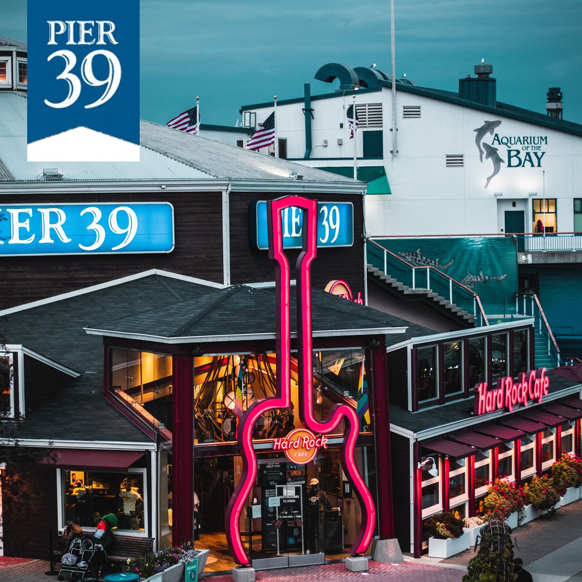 pier39-175.jpg