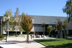 simpson-courtyard.jpg